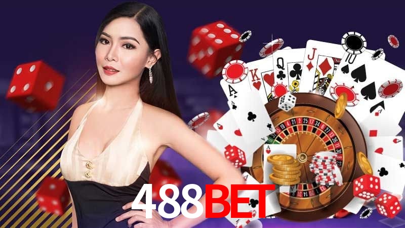 Interface Premium 488BET